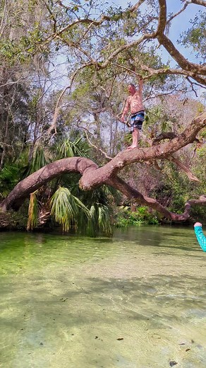 8.2M views · 76K reactions | A World of endless adventure  #kingslandingfl #floridasprings #thespringstate #exploreflorida #adventureflorida | Kings Landing | Facebook