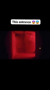 18K views · 478 reactions | OMG #dragula #RuPaul #drag | The Shady Bunch | Facebook