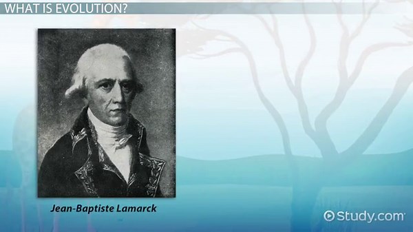 Lamarckism vs. Darwinism | Overview, Differences & Similarities