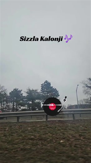 "Sizzla Kalonji Music 🎶 #reggaemusic❤️💛💚 #caribbeantiktokeurs #vira... | reggae songs