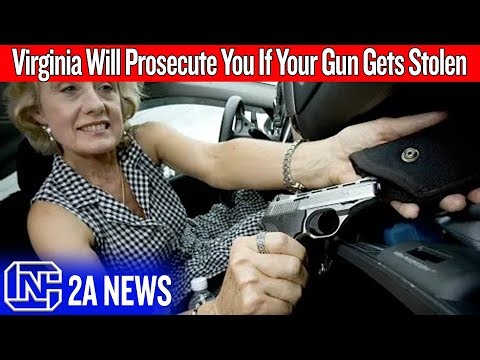 This Virginia Gun Law Turns Victims Into Criminals - VA SB496