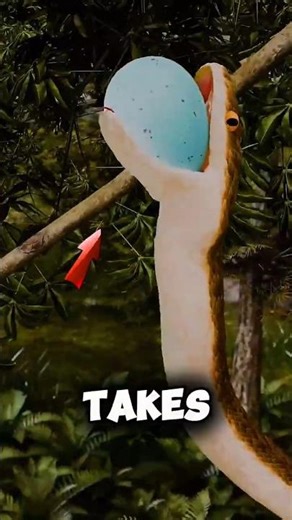 The Only Bird That Can Outsmart a Snake! #nature #wildlife