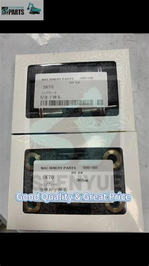 🔧 SK70SR Pilot Valve Repair Kit