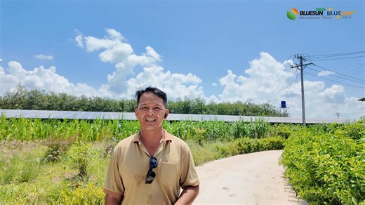6.6K views · 51 reactions | Vietnam 4MW Photovoltaic Power Station Project Redefining sustainability—integrating solar energy, agriculture, and livestock farming in one innovative project. Clean power, smart land use, and a greener future, all in one place. #SolarEnergy #Agrivoltaics #Sustainability #CleanPower #RenewableEnergy #Vietnam | Bluesun Solar | Facebook
