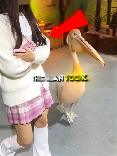 Monkey Thinks on Reels