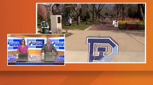 Study shows effects of microplastics on the brain