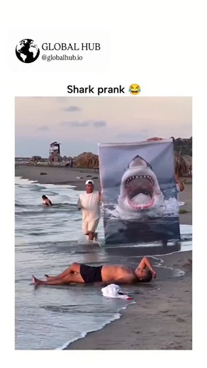 GLOBAL REEL HUB | The post features a 16-second beach prank video where pranksters drag a large shark-head tarp through shallow water to scare a sunbathing... | Instagram