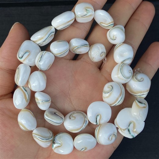 Natural Conch Moon Shell Beads Strand Spiral Pattern Jewelry Making Boho Coastal Beach Style Design Supply - Etsy