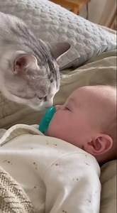 Baby Sleeps… But Watch What the Cat Does 😳🍼