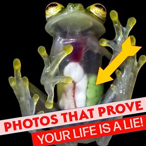 4.6M views · 10K reactions | Your LIFE is a LIE! Here's WHY! | AzzyLand | Facebook