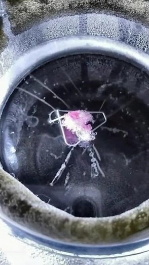 3月14日 実験教室・体験教室「霧箱で素粒子・原子核・宇宙線を視る」#基礎理学科