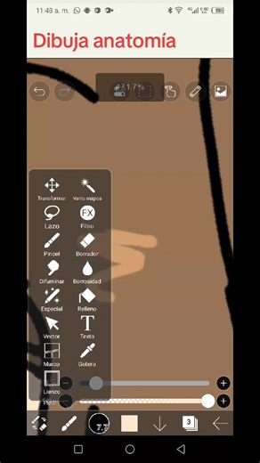 nioo dibujare anatomía