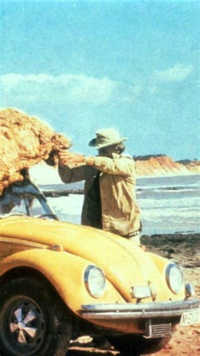 El Vocho alemán que quiso competir contra Herbie