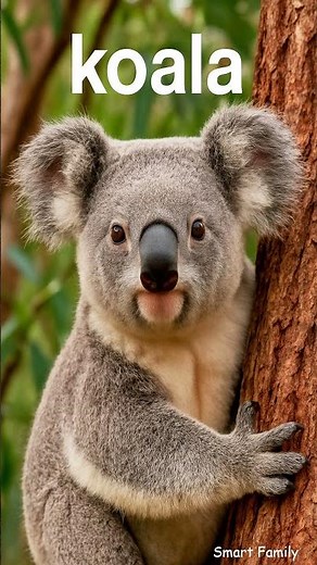 Can You Name These Zoo Animals in English? 🦍🦒🐊