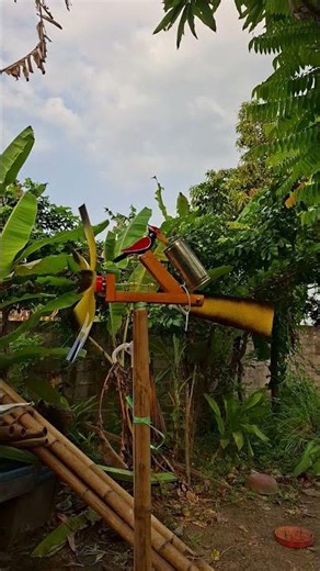 Unique DIY Bird Scarecrow from Recycled Materials! ✨