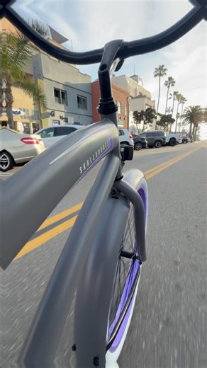 Enjoy the Ride 🫠SkullXBones Cruiser - Flat Grey/Purple 🏴‍☠️#beachcruiser #cruisin #beachvibes