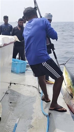 lohi Maldives #fishing #viral #fish #speedboat #fishingship #automobile