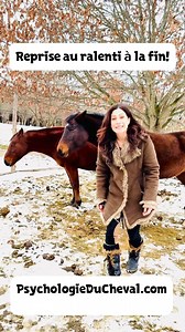 Voici comment le cheval peut calmement nous dire NON. ❤️Pour une formation solide en science du comportement :RABAIS de 25% sur le programme d’Attestation en Psychologie et Comportement Équin https://achat.psychologieducheval.com/niveau2/?coupon=LIVE25 Il y a des “boutons” naturels sur le corps du cheval que les chevaux utilisent (en pointant du regard et du nez) pour se communiquer entre eux: voici les bouton “recul” et le bouton “No kick”. www.PsychologieDuCheval.com vous offre des formations 