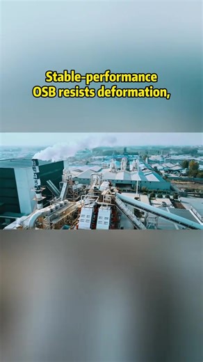 Solid wood core OSB board: strong nail-holding power, hot-selling overseas in bulk! #OSB #Decorationmatertials #housebuliding #contractor #factory