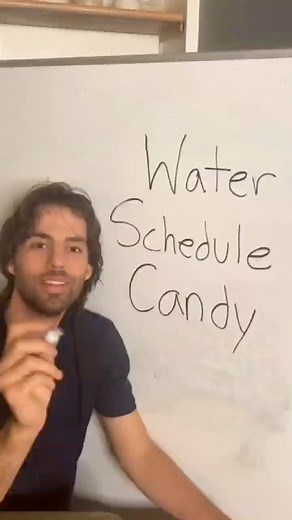 Learning speak_episode 20 | Learning Lishwith Speak