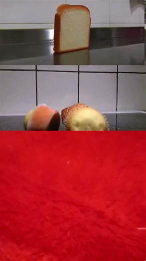 bread falling #memes #duet #funny #bread #music