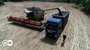 Why are Germany’s farmers so angry?