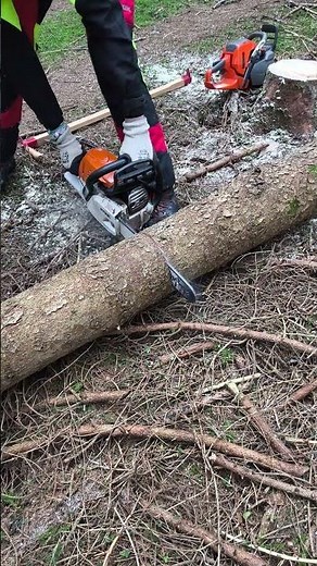 einfach mit Krallenanschlag dran bleiben 🪚🪵 #motorsägenkurs