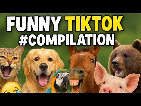You WON’T Stop Laughing 😂 Funniest Animals on TikTok!