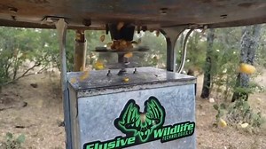 Here is the eliminator spinner plate in slow motion that shows how the plate drops down when the feeder goes off and the corn throws out like normal. When it closes it seals up tight against the downspout so raccoons and squirrels cannot get any corn out, highly recommended it! | Elusive Wildlife Technologies, LP