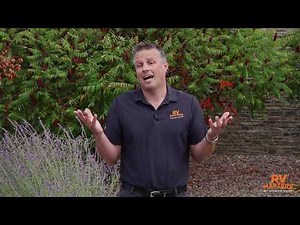 Part 3 of 4 - How to BUY an RV - All About RV Shows and Salespeople