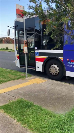 Double door bus - 32 Geelong #bus #viralvideo #fyp