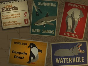 Experience Live And Unedited Wildlife Video With Wild Earth