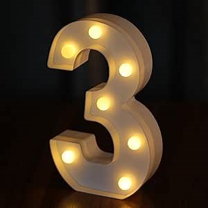 Light Up Numbers, Led Letter Lights 10 Number, Decorative Lighted Letters, Battery Powered Led Marquee Numbers for Party, Bar, Night Light, Home Decor(Number 3)