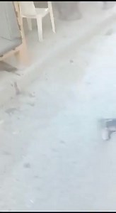 1.4K views | *WALKIE TALKIE EXPLOSIONS:* Explosions have been reported by Lebanese media in several other areas of Lebanon in the last few minutes, and not just in the Dahiyeh suburb of Beirut. - According to some of the reports, the blasts were caused by walkie talkie devices in use by Hezbollah. - Images circulating online purport to show the devices, which appear to be different from the pagers that exploded yesterday. | FAA | Facebook