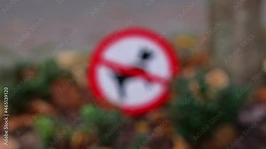 Dogs Not Allowed Sign Placed on City Lawn