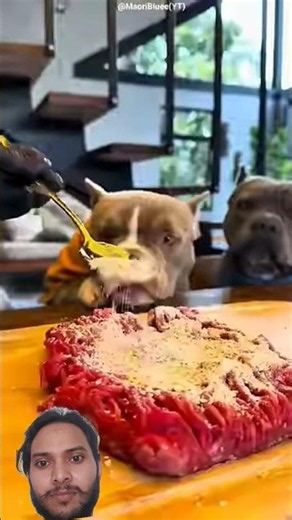 Dogs Ignore Noodles Until This Secret Recipe Changes Everything! 🐶🍜 #shots​ #facts​