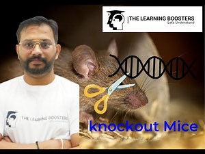 knockout Mice