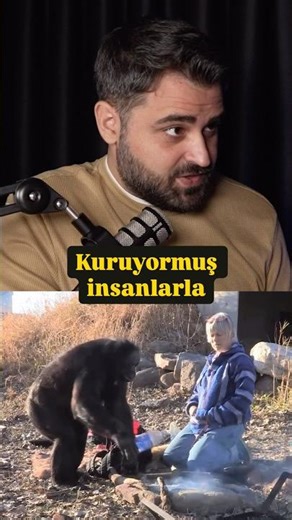 Which one surprised you the most? #podcast #animals #football #explore #monkey