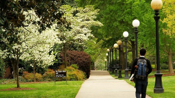 A look at the 2025 best college rankings