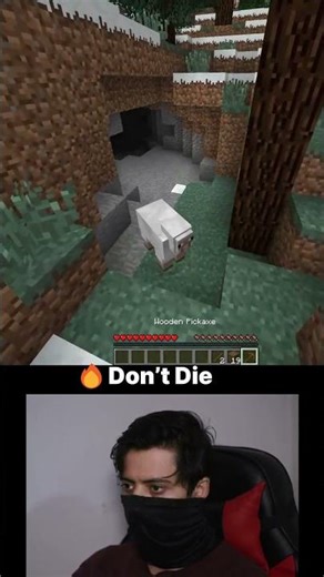 5 Things You Need to Know About MINECRAFT BIOMES