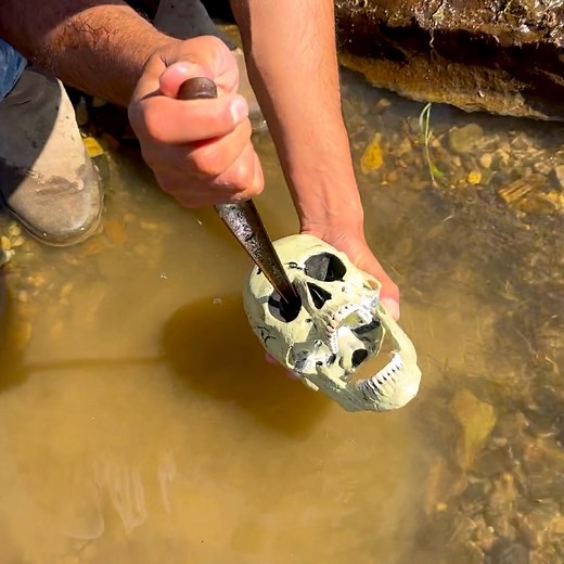 922K views · 4.9K reactions | I Found a Warrior’s Dagger Still Stuck in a Human Skull!  | My.kingdom | Facebook