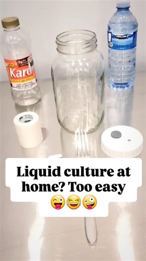 Roman Sydor on Instagram: "Ever wondered how to make liquid culture at home without a lab? Here’s my super simple method using just a glass jar, corn syrup, water, and a few basic tools. ✔ 500ml water (distilled or bottled) ✔ 1 tbsp corn syrup (~3-4% sugar — perfect for mycelium) ✔ Mix, drop in a stir bar (optional), close lid ¾, tape hole, foil on top ✔ Sterilize at 15 PSI for 30 minutes Boom — sterile liquid culture ready to inoculate! No lab. No stress. Just clean, simple, powerful. Curious a