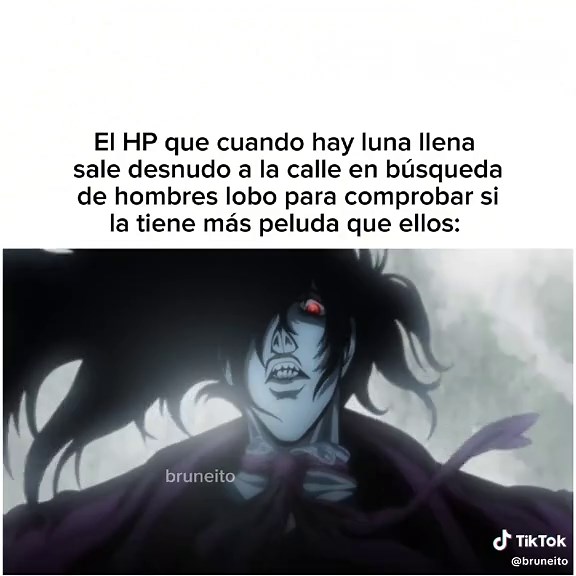 Hellsing Ultimate: A Bruneito Anime Meme Experience