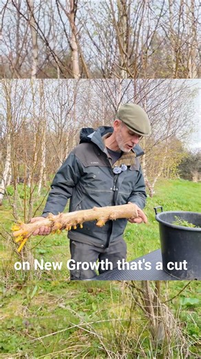 I Could Plant This and Grow a Whole New Tree…Nature Never Stops Amazing Me