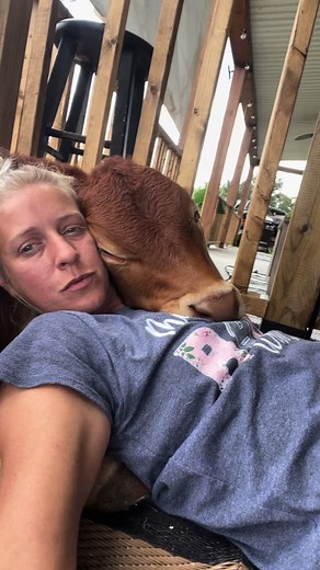 Sweet Sunday Morning Cuddles with the Cutest Cow