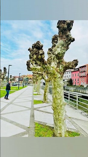 Llanes, Spain: Timeless Colors and the Magic of the Old Port 🇪🇸