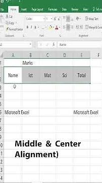 Master Excel Alignment, Wrap Text, Merge Cells & Orientation in less than 2 Minutes!
