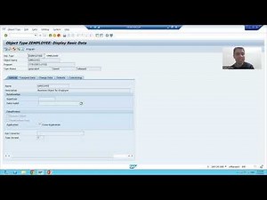 17 - Cross Applications - Generating IDOC Interface for BAPI Using BDBG Part1