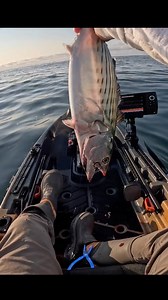 Booking dinner is hard but it’s even harder when you’re out fishing! #fishing #dating #dinner | Fish RI