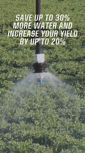 Why choose center pivot irrigation? | Reinke Irrigation